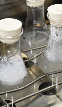 Laborat&oacute;rio de ensaios t&ecirc;xteis