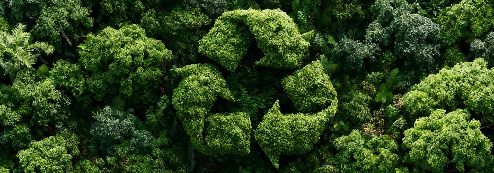 Tecidos ecológicos